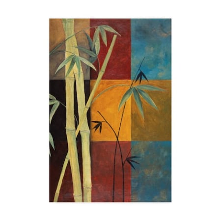 Pablo Esteban 'Bamboo On Colored Squares' Canvas Art,12x19